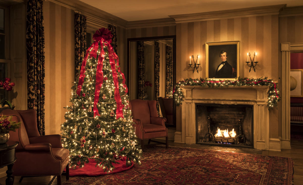 Potted Christmas Tree Wholesale